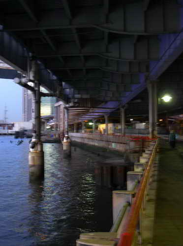NYC_2012-11-21 06-40-56_P1070322